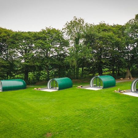 Further Space At Thornfield Luxury Glamping Pods, The Dark Hedges, Ballycastle バリマネー エクステリア 写真