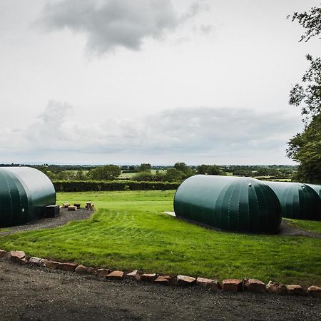 Further Space At Thornfield Luxury Glamping Pods, The Dark Hedges, Ballycastle バリマネー エクステリア 写真