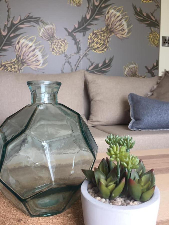 Further Space At Thornfield Luxury Glamping Pods, The Dark Hedges, Ballycastle バリマネー エクステリア 写真