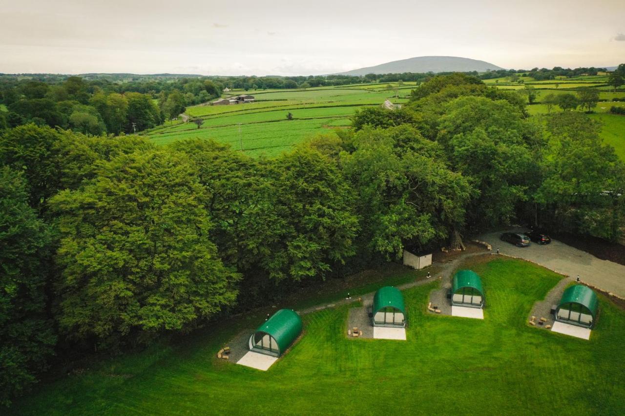 Further Space At Thornfield Luxury Glamping Pods, The Dark Hedges, Ballycastle バリマネー エクステリア 写真